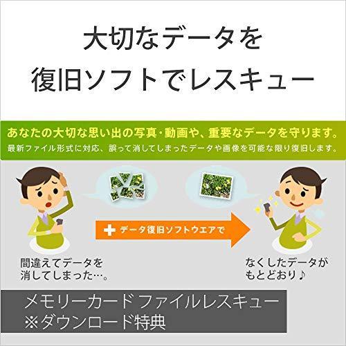 ソニー SONY CFexpress Type B メモリーカード 256GB タフ仕様 
