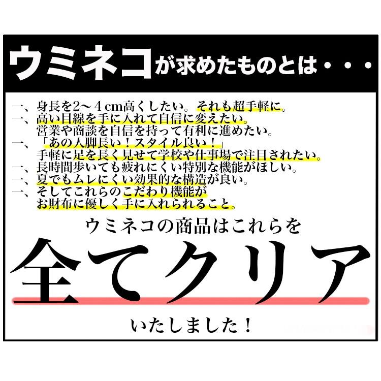 シークレットインソール お手軽 スラッチ ハーフ レディース 2cm 3cm 4cm 冷え性 身長アップ 中敷き 美脚 疲れにくい 男女 22.5-27cm シークレットシューズ｜umineko-shoji｜02