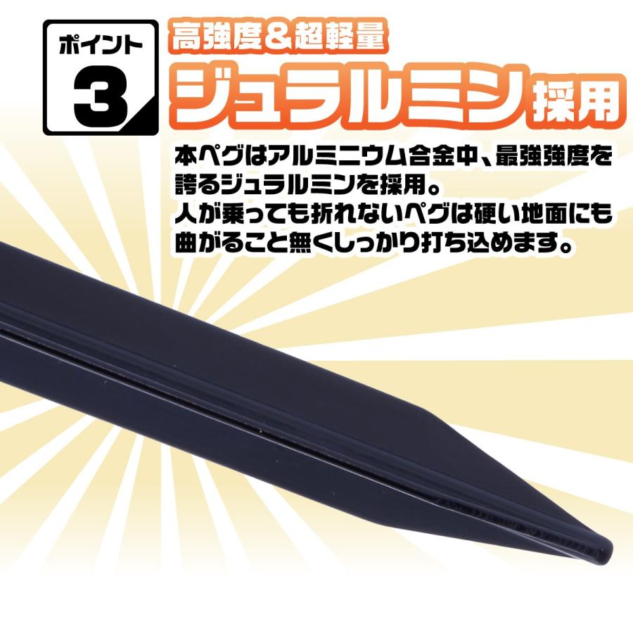 ペグ アルミ 18cm 10本セット Y字型 収納袋付 軽量 ジュラルミン製