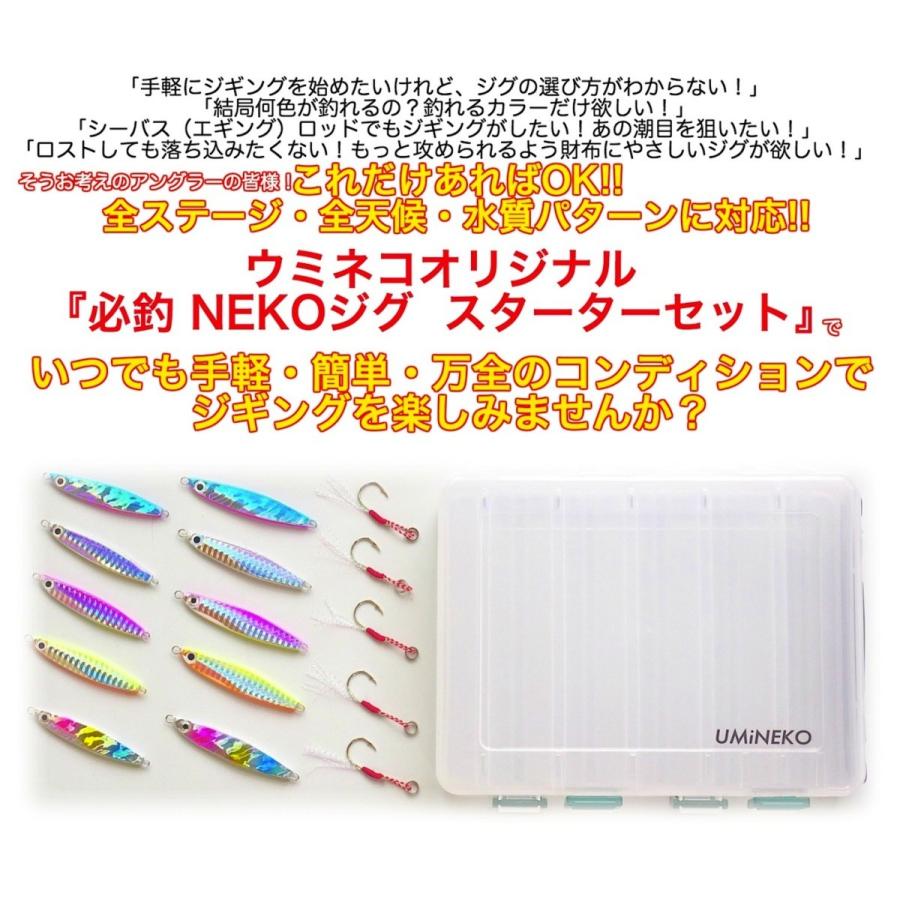 メタルジグ セット 17g 22g ソルトウォーター シルバー ブルー ピンク コットンキャンディ 5色10個 ケース アシストフック5本 ウミネコ Um Lr 01 Mj アウトドア ホビー専門店ウミネコ 通販 Yahoo ショッピング