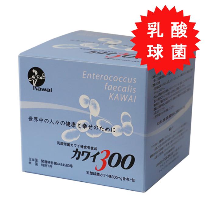 カワイ300 乳酸球菌 カワイ株 （100包入り） 正規代理店 : 海猫本舗 