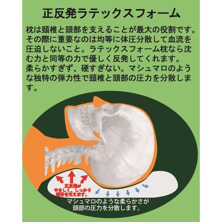 Bodydoctor ドクターロングピロー 110 ボディドクター ドクターロングピロー #110 高さ110mm (100%天然