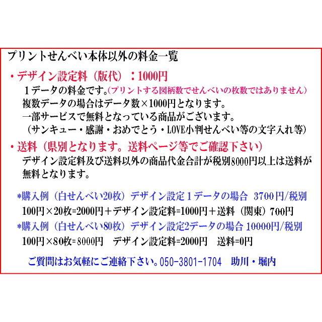 特別なお菓子を特注で作成 ゴマ塩クッキー風プリント小判せんべい個装品 商品補償あり 写真やイラストを塩バターせんべいに印刷 オーダーメイド 芸人 物販 青森グルメとプリント菓子の海翁堂 通販 Yahoo ショッピング