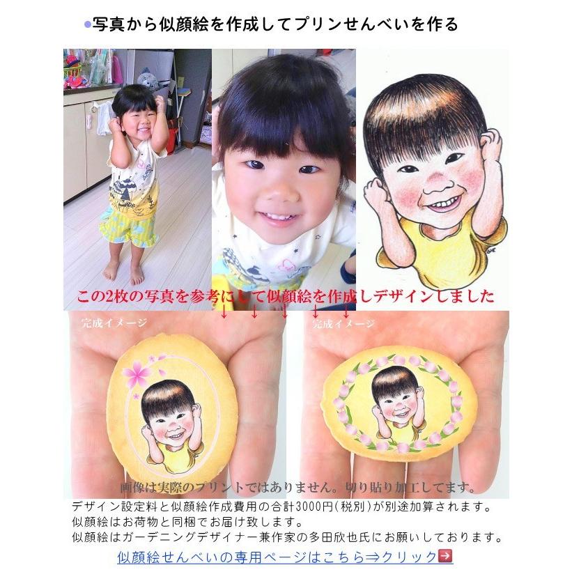 特別なお菓子を特注で作成 ゴマ塩クッキー風プリント小判せんべい個装品 商品補償あり 写真やイラストを塩バターせんべいに印刷 オーダーメイド 芸人 物販 青森グルメとプリント菓子の海翁堂 通販 Yahoo ショッピング