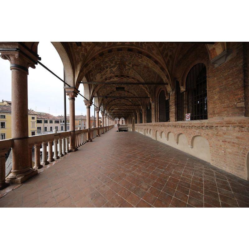 【新品未開封】 SIGMA 12-24mm F4 DG HSM | Art A016 | Nikon F-FXマウント | Full-Size/Large- 【BC2252826067】(81928円)