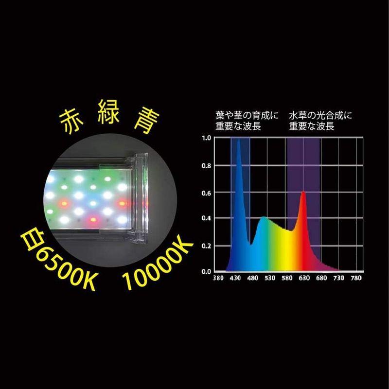 高評価続出！ ゼンスイ ナノ レビル(nano LeviL) 水草育成用 ホワイト 600 【X1973762447】(12449円)