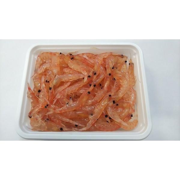 海郷の釣餌 オキアミ喰わせ太郎 2Lサイズ :01214000200156:海郷 - Umisato 01214000200156 1