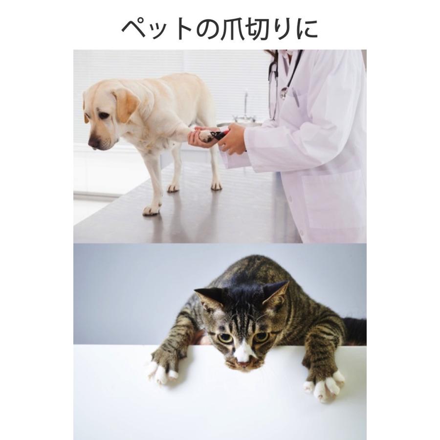 ＊ペット 爪切り 犬 猫 ギロチン タイプ ネイルクリッパー 爪