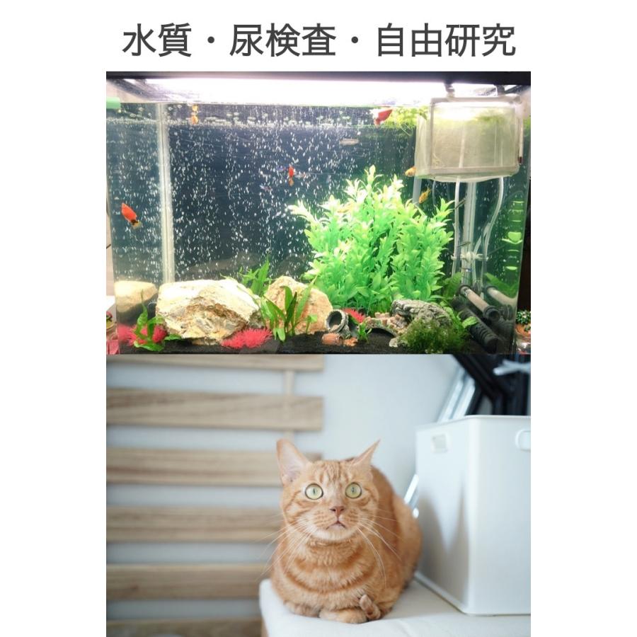 Ph試験紙 80回分 ペーハー試験紙 リトマス紙 テストペーパー 簡易測定 目安 学校 教材 研究 夏休み 理科 熱帯魚 水槽 アクアリウム 水質検査 0384 便利雑貨ショップumiwo 通販 Yahoo ショッピング