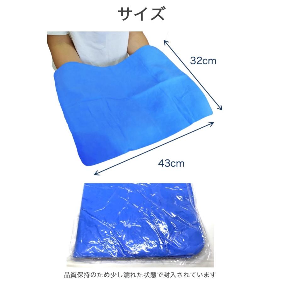 セームタオル 中サイズ 青 1枚 43x32cm 繰り返し 使える スイムタオル 汗 水滴 速乾 吸収 背中 耐久性 水泳 スイミング プール ジム 食器 アウトドア お風呂 |  | 04