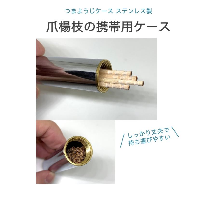 つまようじケース ステンレス製 おしゃれ 爪楊枝入れ スリム 楊枝