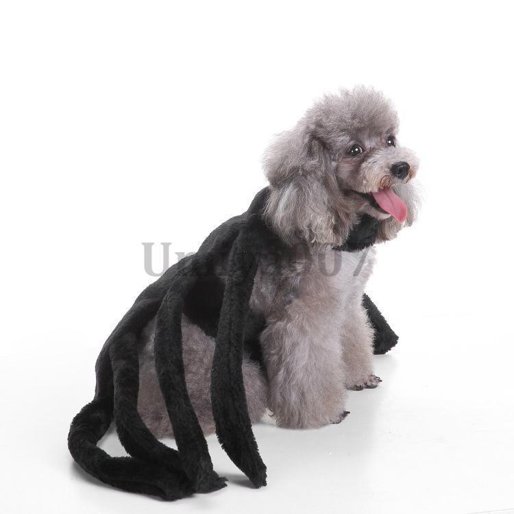 ハロウィン ハロウィン衣装 ハロウィンマント 犬 猫 ペットコスチューム ペットコスプレ 犬服 小型犬 仮装グッズ 仮装アイテム 変身 変装｜umiya007｜14