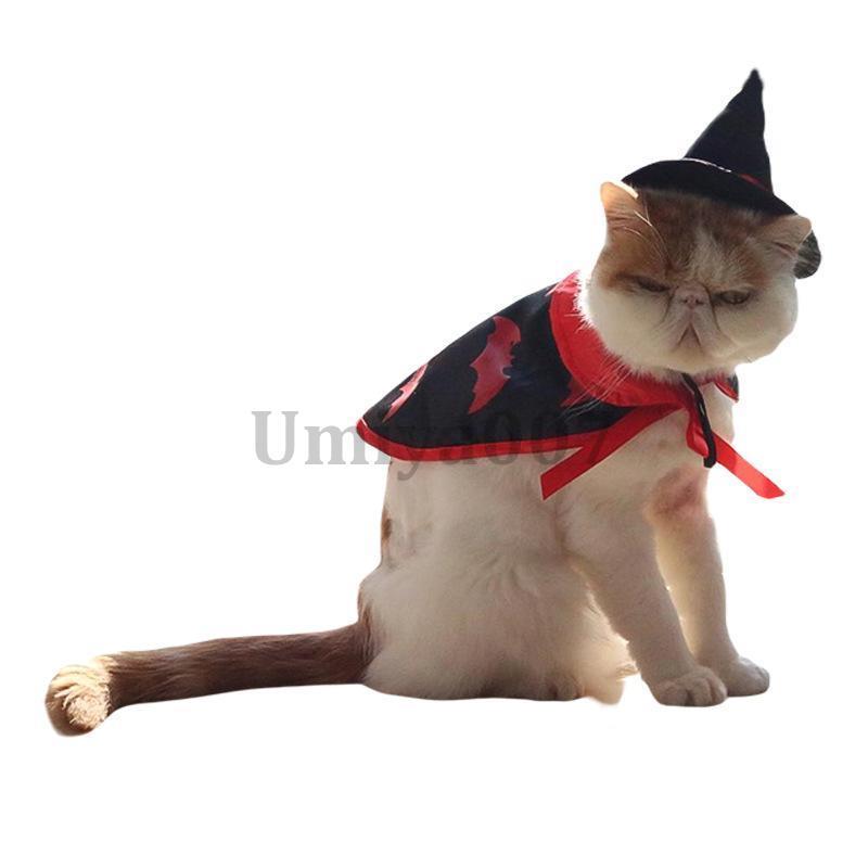 ハロウィン ハロウィン衣装 ハロウィンマント 犬 猫 ペットコスチューム ペットコスプレ  仮装グッズ 仮装アイテム 変身 変装2点セット｜umiya007｜04
