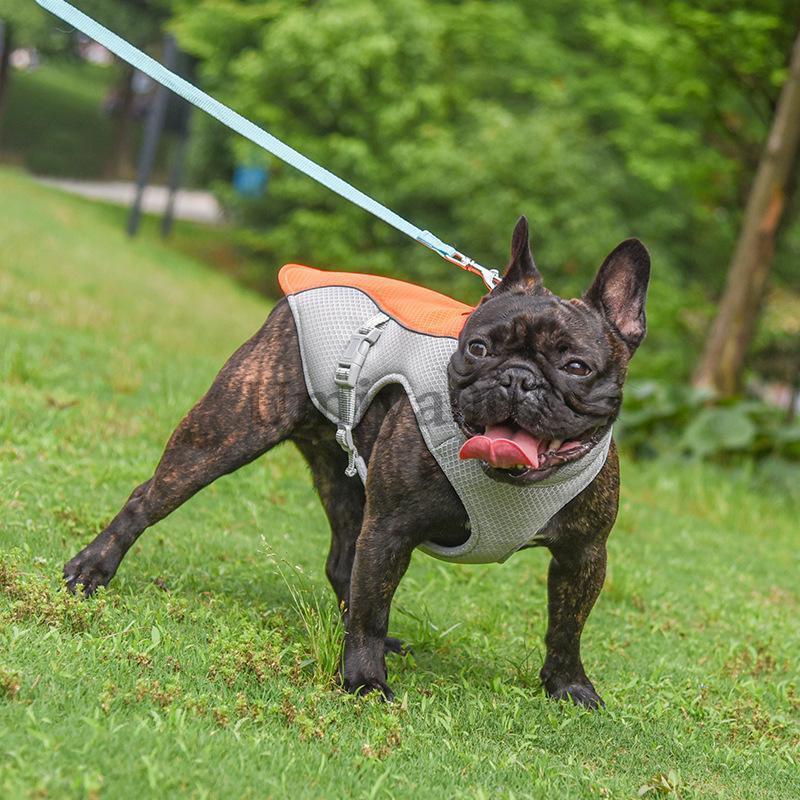 犬服 夏用 クール クールベスト 犬 ペット 猫用 熱中症対策 ひんやりベスト 冷感 小型犬 中型犬 大型犬 接触冷感 夏対策 着せやすい 暑さ対策 快適 着脱簡単｜umiya007｜04