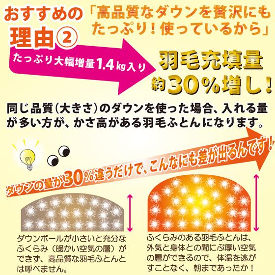 羽毛布団 シングル 掛け おすすめ 暖かい グースダウン95% 増量 冬用