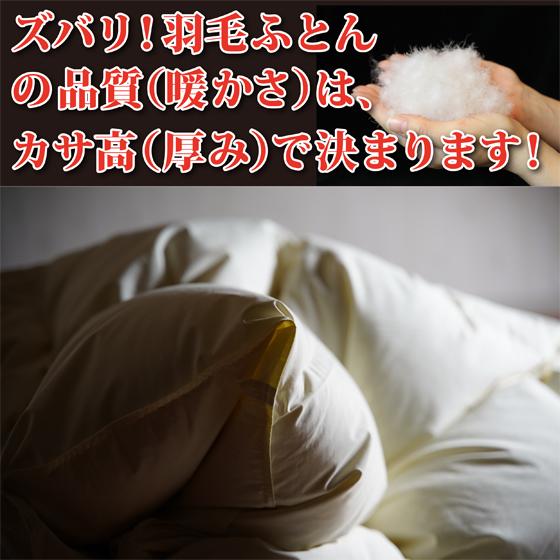 羽毛布団3点セット・組布団 シングルサイズ（羽毛掛け布団・三層羊毛混