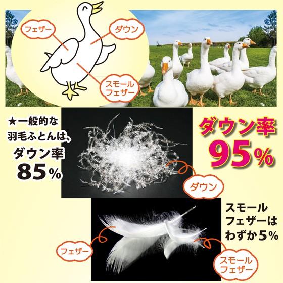 羽毛布団 羽毛ふとん シングルサイズ 掛け布団 日本製 高級グースダウン95％ ダウン 大増量 おすすめ 暖かい｜umou-iine｜12