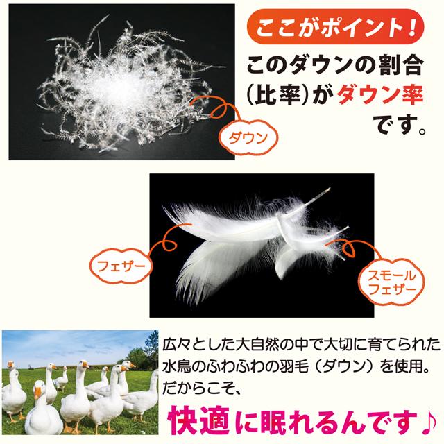羽毛布団 シングル 掛け おすすめ ホワイトダウン85% 増量 冬用 暖かい