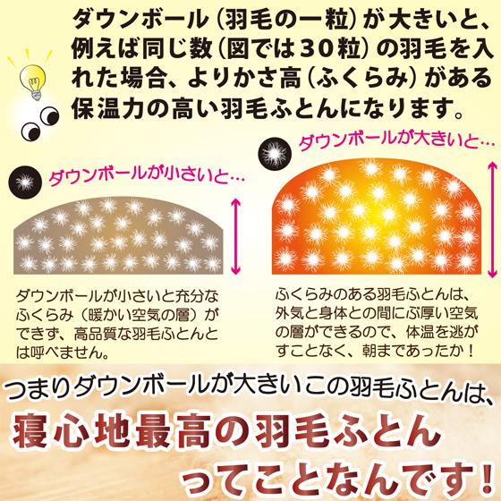 羽毛布団 シングルサイズ 掛け おすすめ グースダウン 93% 増量 冬用 あったか 軽い 高級 本掛け 限定 セール 日本製 羽根｜umou-iine｜08