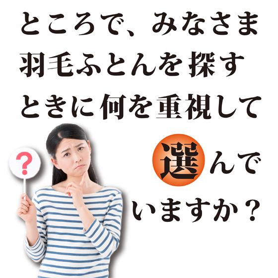 羽毛掛け布団 シングルサイズ グースダウン 90% 増量 冬用 本掛け 限定