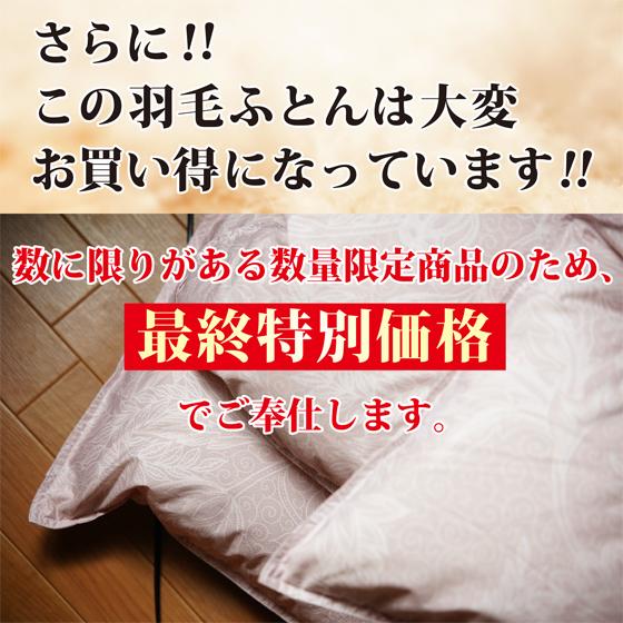 羽毛掛け布団 シングルサイズ グースダウン 93% 増量 冬用 本掛け 限定