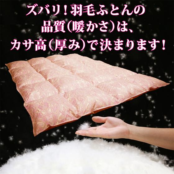 羽毛布団 打ち直し シングル リフォーム 本掛け おすすめ クリーニング