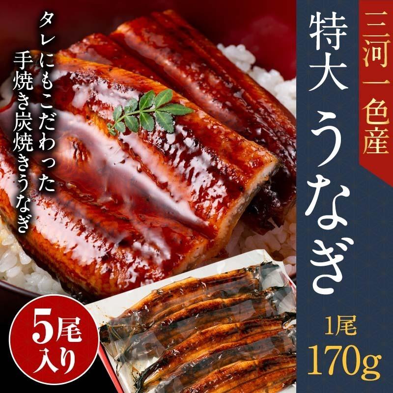 適切な価格 170g前後 5本 特大 炭火焼き 手焼き 国産 ウナギ 鰻 国産 5尾 170g 特大 Tk 5 うなぎ 手焼き 炭火焼き 蒲焼き 愛知県三河一色産 国産 送料無料 鰻 ウナギ うなぎ 国内産 魚介類 海産物 Postetelecom Gouv Cg