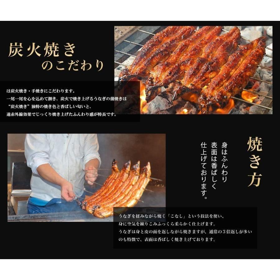 受賞店舗 Tk 5 うなぎ 特大 170g 5尾 国産 うなぎ 鰻 ウナギ 国産 手焼き 炭火焼き 特大 170g前後 5本 国内産 うなぎ ウナギ 鰻 新発 Kwsrbd Com