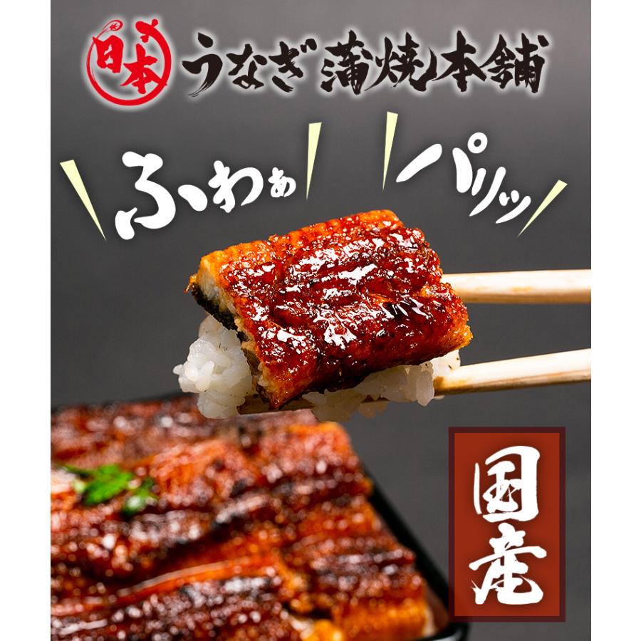 父の日ギフト 父の日 ギフト 送料無料 蒲焼のタレ付 プレゼント ウナギ 炭火焼うなぎ蒲焼 国内産 宮崎県産 特大3尾入 蒲焼き 国産 鹿児島県産 鰻 うなぎ