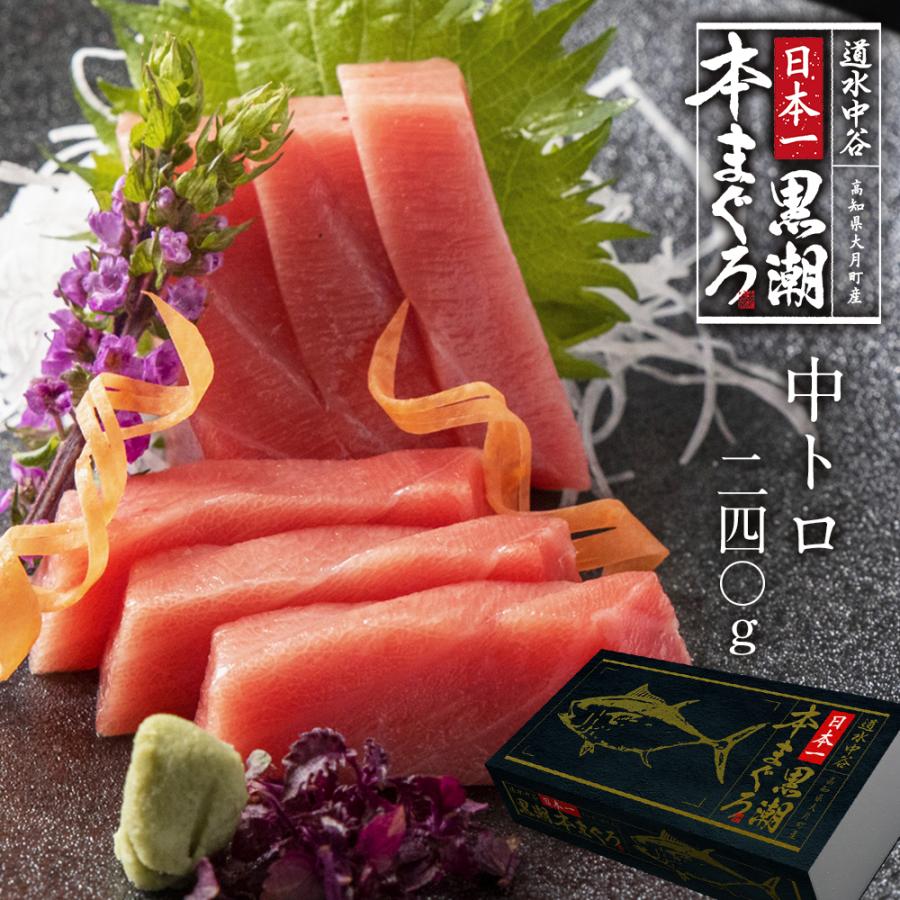 マグロ 中トロダブルセット 2柵で240g 国産 道水中谷 日本一黒潮本マグロ 高知県 クロマグロ 本鮪 まぐろ お刺身 お寿司 ヤマカ片山海産 Chutoro 240 おいしい通販ショップ 通販 Yahoo ショッピング