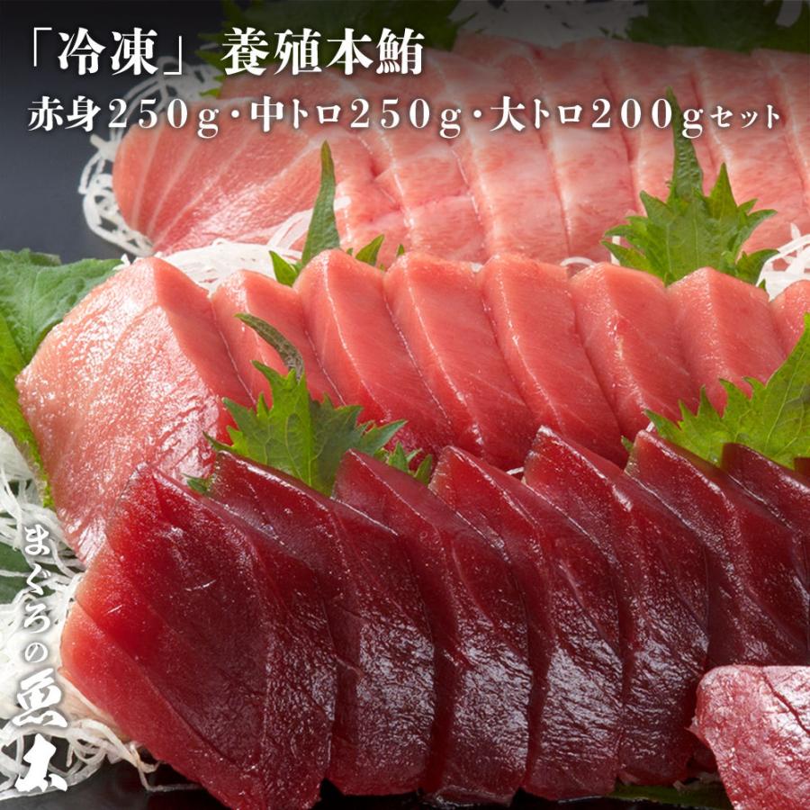 2394円 人気特価激安 冷凍養殖本鮪赤身250g 中トロ250g 大トロ0gセット まぐろ マグロ 鮪 お刺身 天然物 中トロ 大トロ まぐろ の魚太