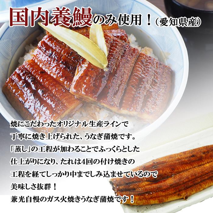 うなぎ 国産 愛知県産 無頭 蒲焼 特大 175g以上 1kg入り(5尾〜6尾