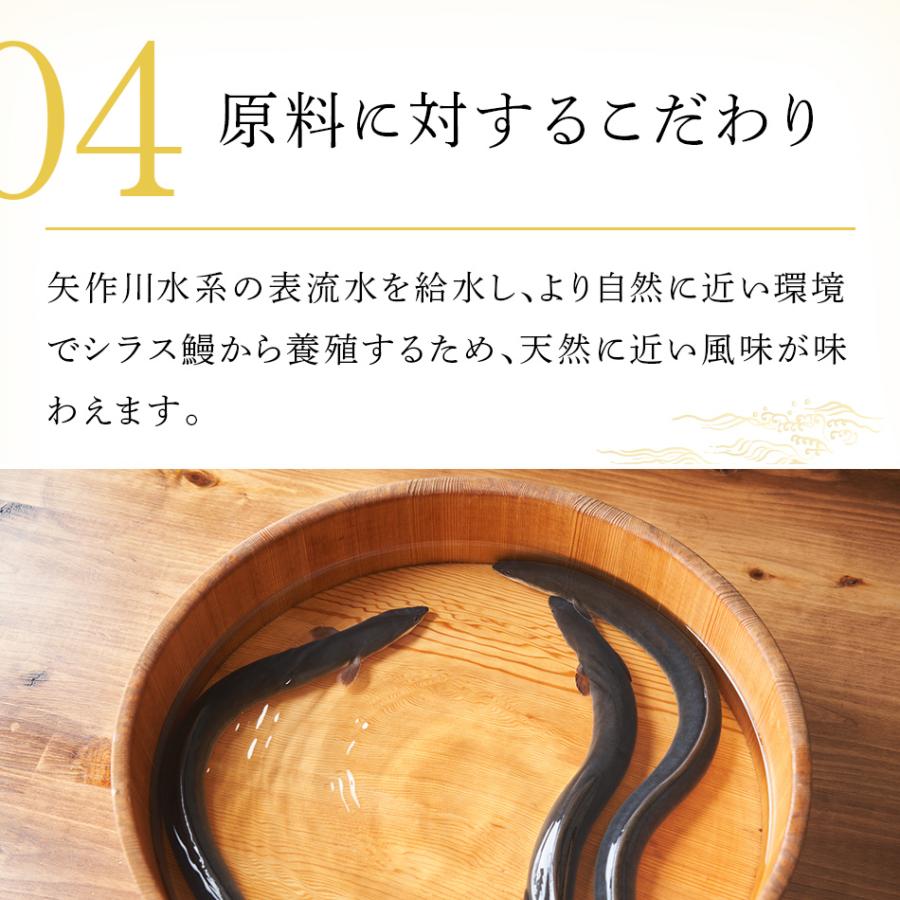 うなぎの兼光 母の日 2025ギフト うなぎ 国産 愛知県産 無頭 うなぎの兼光 母の日 2025ギフト うなぎ 国産 愛知県産 無頭