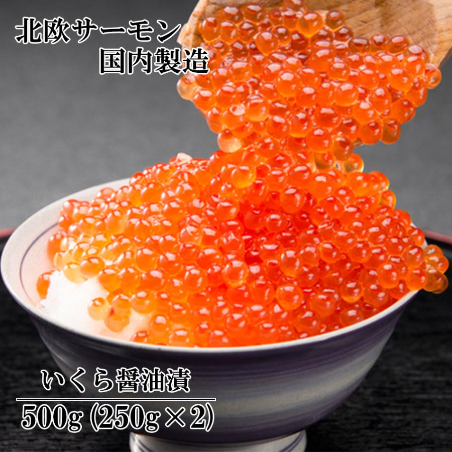 お手頃価格 いくら 北欧サーモン 醤油漬け 250g 小粒 送料無料 Sarozambia Com