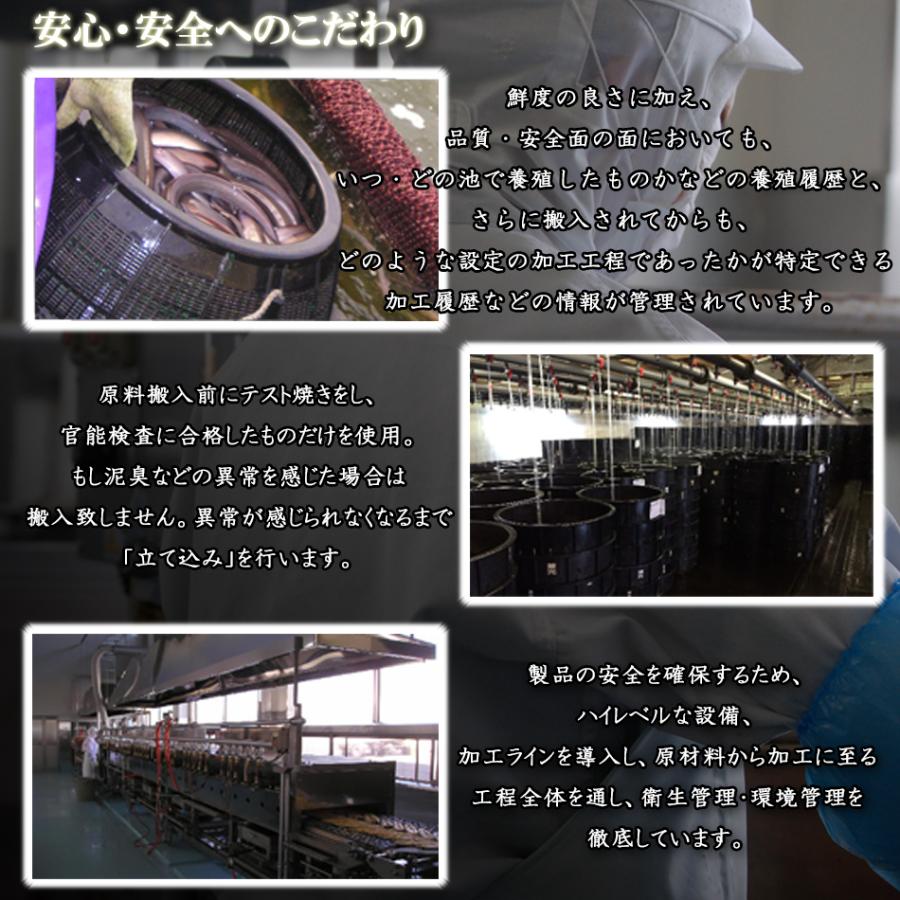 国産 うなぎ 蒲焼き 一色産 きざみ うなぎ 蒲焼 50g 2食入 うなぎの兼光 単品売り 1袋から うなぎの兼光 お取り寄せ 70代 80代｜unagi-kanemitsu｜08