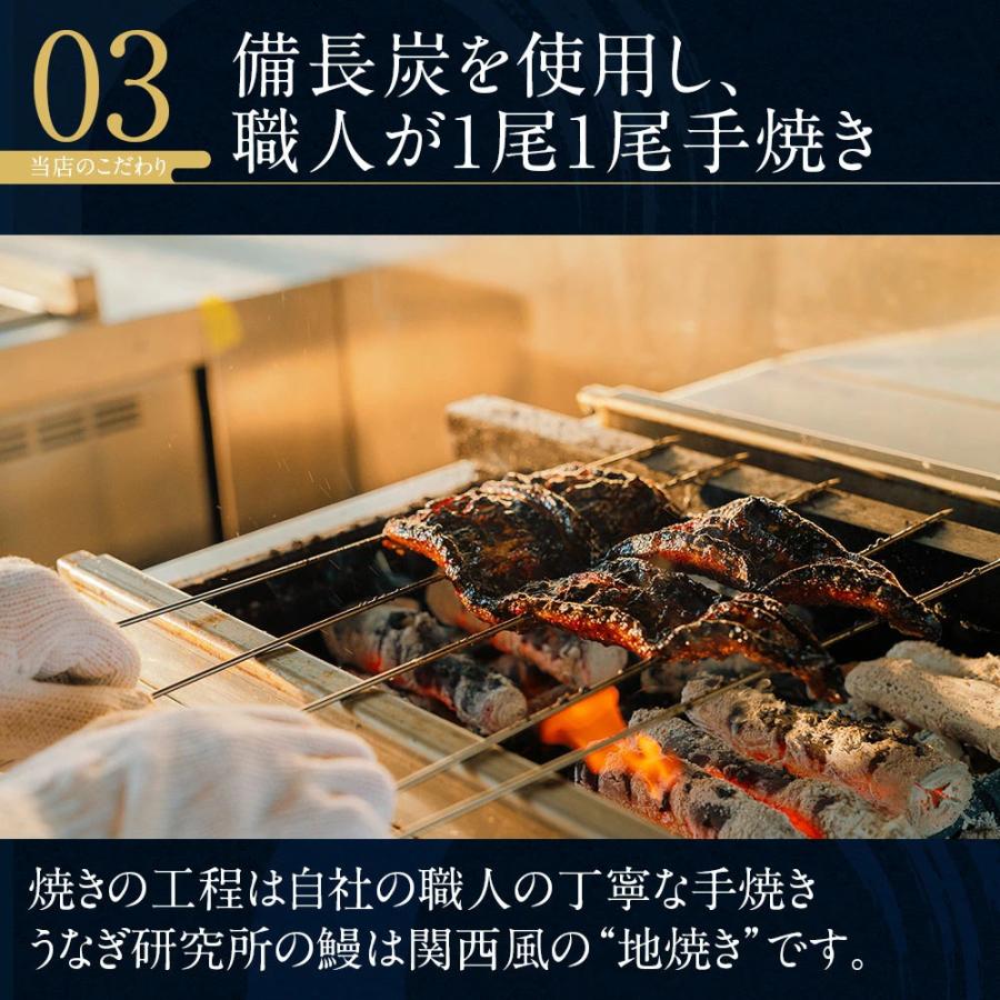 うなぎ 蒲焼 白焼き 食べ比べ2本セット【大(140〜150g)】 国産 三河