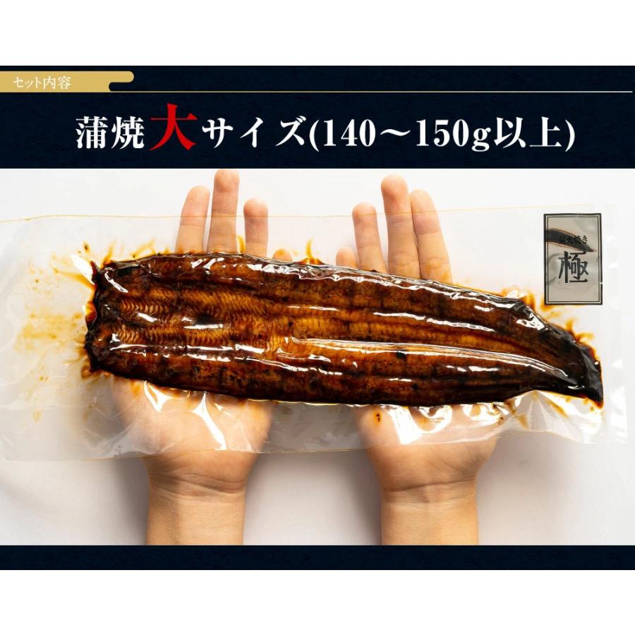 蒲焼2 白焼き6 スコーン2 うなぎ 蒲焼 白焼き 食べ比べ2本セット【大(140〜150g)】 国産 三河