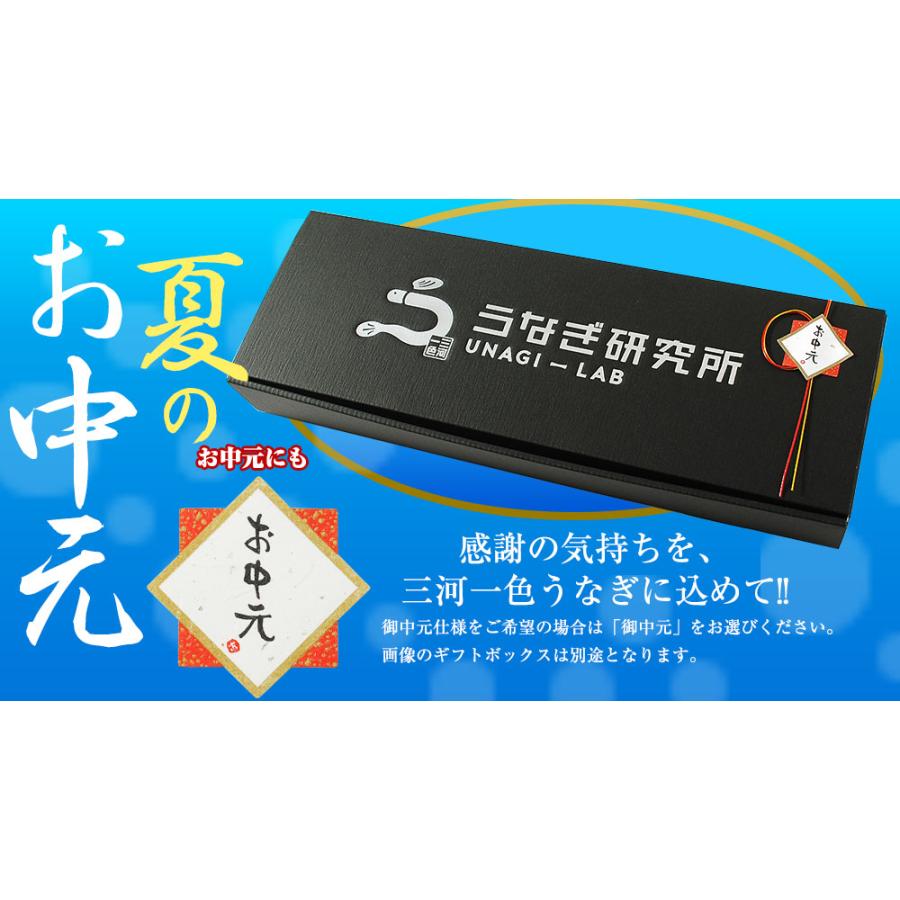 うなぎ 蒲焼 白焼き 食べ比べ2本セット【大(140〜150g)】 国産 三河