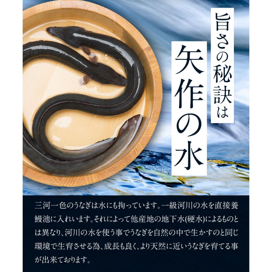 うなぎ 蒲焼 白焼き 食べ比べ2本セット【大(140〜150g)】 国産 三河