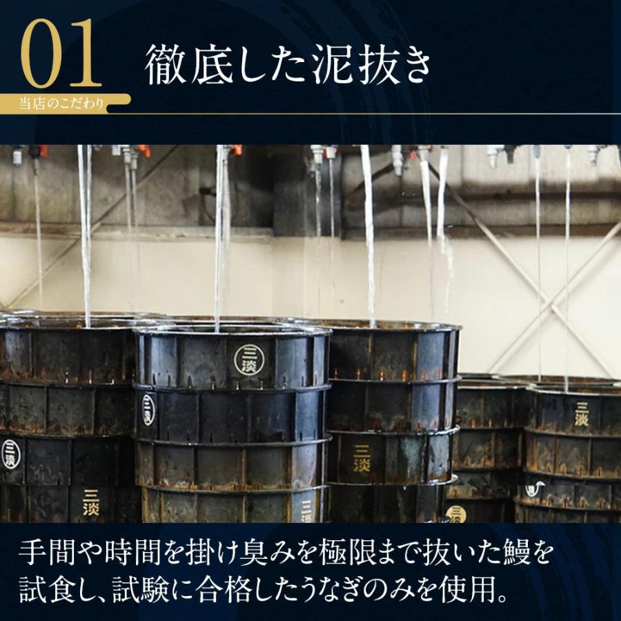 うなぎ 蒲焼 白焼き 食べ比べ2本セット【大(140〜150g)】 国産 三河