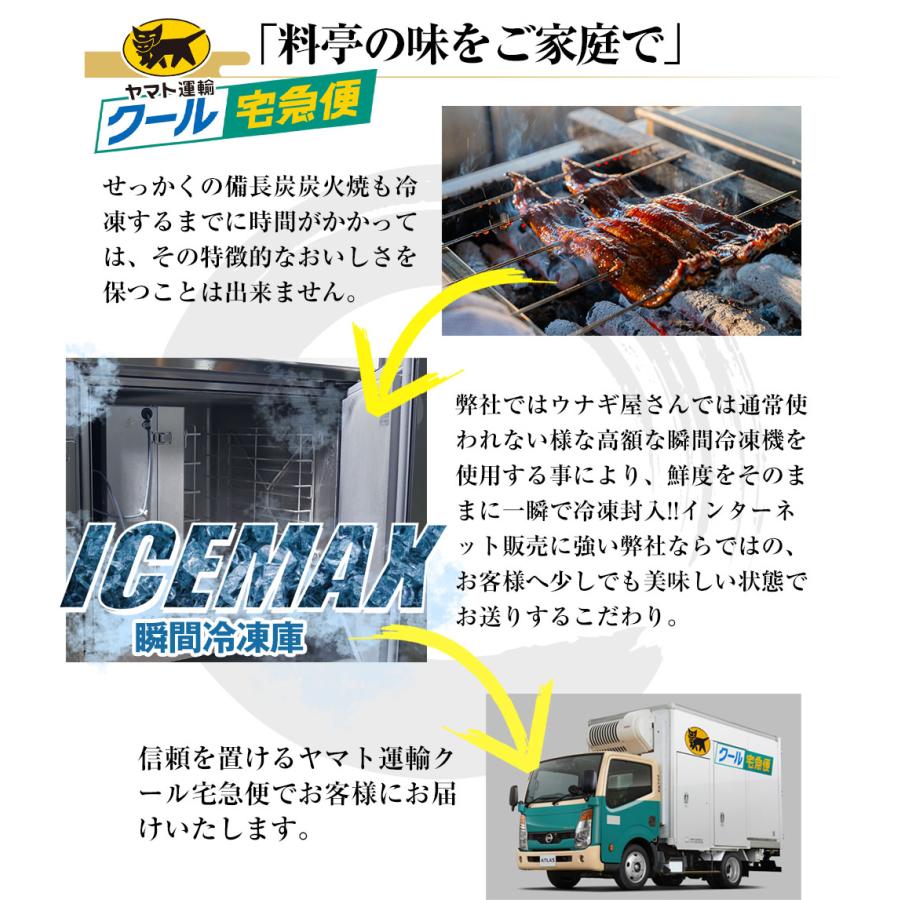 うなぎ 白焼き【特大(160〜170g)】5尾 国産 三河一色産 炭火手焼き 白焼 タレ付 お取り寄せ 土用の丑 お中元 お歳暮 母の日 父の日 お祝い プレゼント 個包装_10