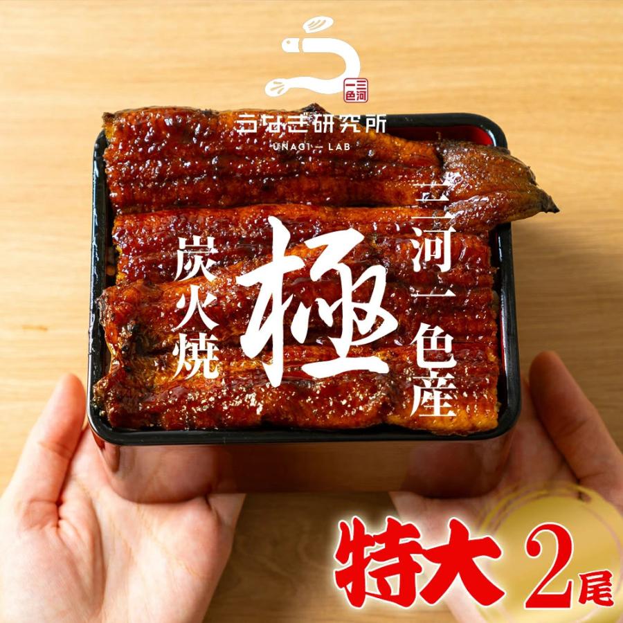うなぎ 蒲焼き【特大(160〜170g)】 2尾 国産 三河一色産 炭火手焼き