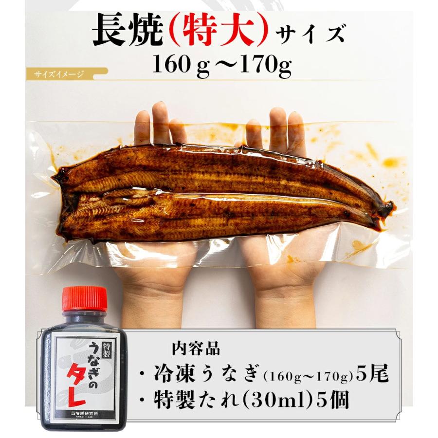 うなぎ 蒲焼き【特大(160〜170g)】5尾 国産 三河一色産 炭火手焼き 蒲焼 長焼き タレ付 お取り寄せ 土用の丑 お中元 お歳暮 母の日 父の日 お祝い プレゼント_10
