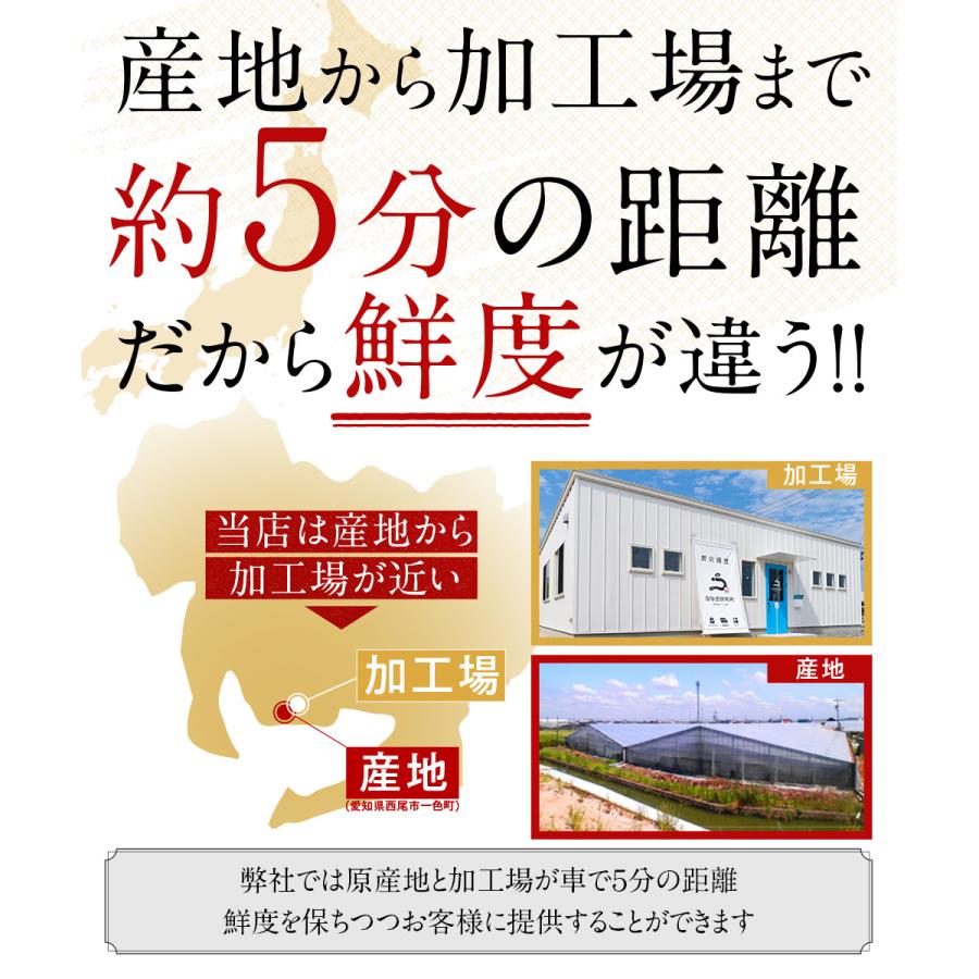 うなぎ 蒲焼き【特大(160〜170g)】5尾 国産 三河一色産 炭火手焼き 蒲焼 長焼き タレ付 お取り寄せ 土用の丑 お中元 お歳暮 母の日 父の日 お祝い プレゼント_4