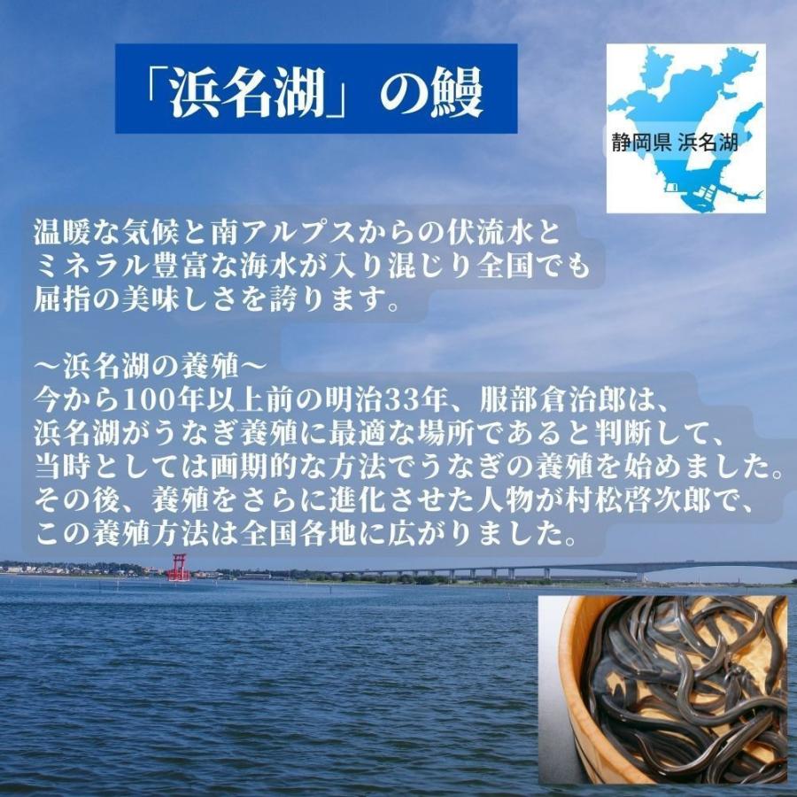 うなぎ 国産 蒲焼 2尾 浜名湖 鰻 父の日 母の日 お中元 贈答 のし 人気 美味しい 老舗  冷蔵 ギフト お祝い 内祝 冷蔵 50代 60代 70代 80代 米寿｜unagi-suisei｜11