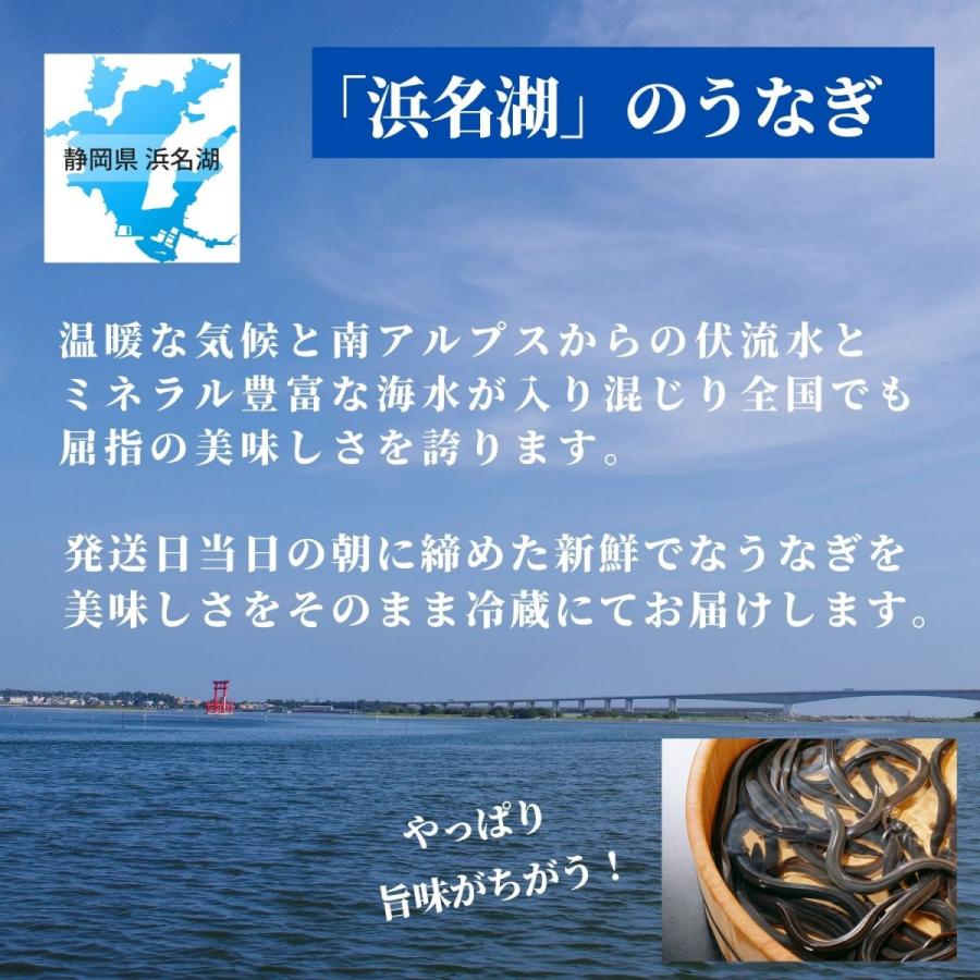 鰻 うなぎ 国産 白焼き 白焼 4尾 ウナギ 父の日 母の日 お中元 人気 美味しい 浜名湖 冷蔵 のし 熨斗 贈答 贈り物 ギフト お祝い 内祝｜unagi-suisei｜11