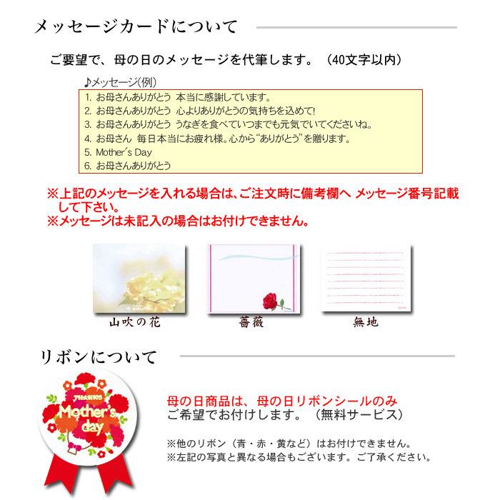 母の日 うなぎ 母の日 贈り物 うなぎカット蒲焼 お吸い物2袋セット 生花カーネーション付 送料無料｜unagi｜18