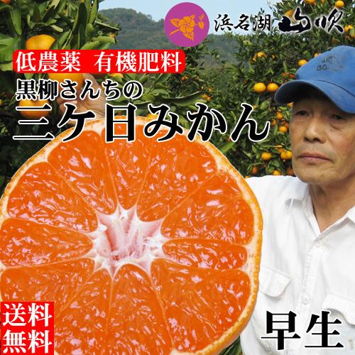 三ケ日みかん 早生 ５キロ 黒柳さんちの低農薬 有機肥料栽培 静岡三ヶ日みかん 送料無料 数量限定 Mik W30 うなぎ浜名湖山吹 通販 Yahoo ショッピング