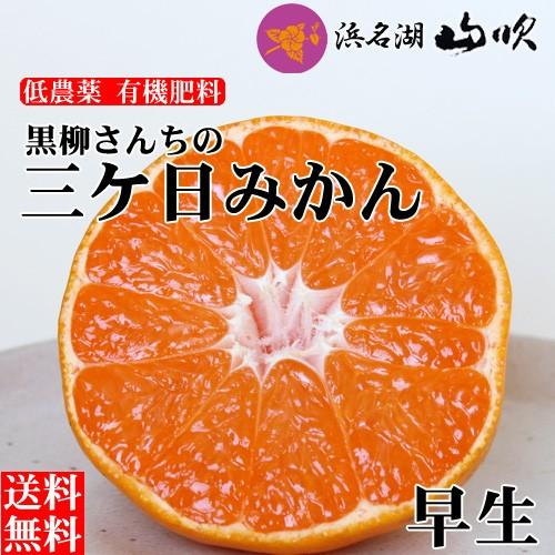 三ケ日みかん 早生 10キロ 低農薬 有機肥料栽培 静岡三ヶ日みかん 送料無料 Mik W50 うなぎ浜名湖山吹 通販 Yahoo ショッピング