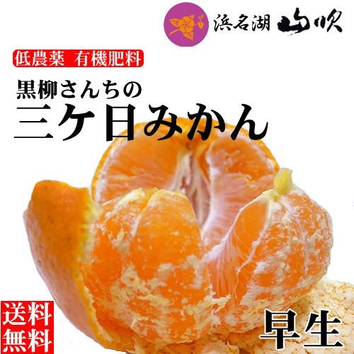 三ケ日みかん 早生 10キロ 低農薬 有機肥料栽培 静岡三ヶ日みかん 送料無料 Mik W50 うなぎ浜名湖山吹 通販 Yahoo ショッピング